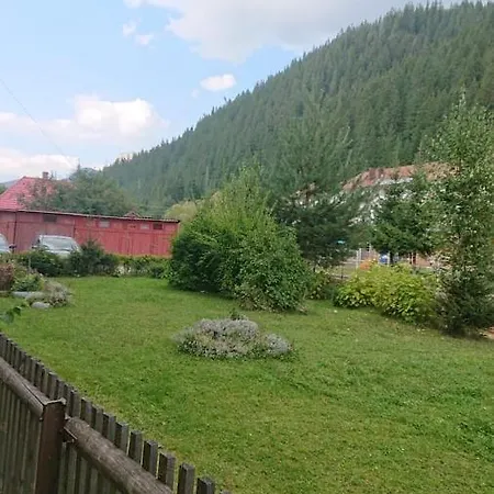 Apartment Comoara Hasmasului *